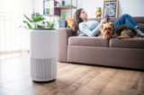 A Comprehensive Guide to Air Purifiers in 2024