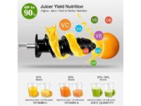 Aobosi AMR520 Slow Masticating Juicer with Quiet Motor