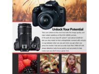 Canon EOS 2000D (Rebel t7) DSLR Camera EF-S 18-55 mm f/3.5-5.6 IS III Lens