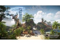 Horizon Forbidden West Collectors Edition PS5