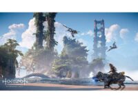 Horizon Forbidden West Collectors Edition PS5