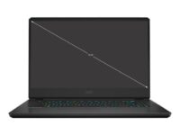 MSI GP/15.6″/i7/RTX 3080/1 TB SSD