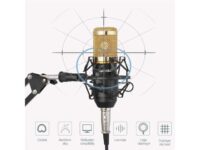 RAITVER Profession BM800 Condenser Microphone Bundle