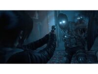 Rise of the Tomb Raider: 20 Year Celebration PC