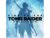 Rise of the Tomb Raider: 20 Year Celebration PC