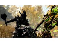 The Elder Scrolls V Skyrim: Special Edition PC