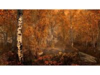 The Elder Scrolls V Skyrim: Special Edition PC