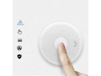 Tuya WiFi 2 In 1 Intelligent Smoke & Carbon Monoxide Detector