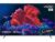 Vizio M50Q6-J01 Quantum 50″ 4K HDR Smart TV